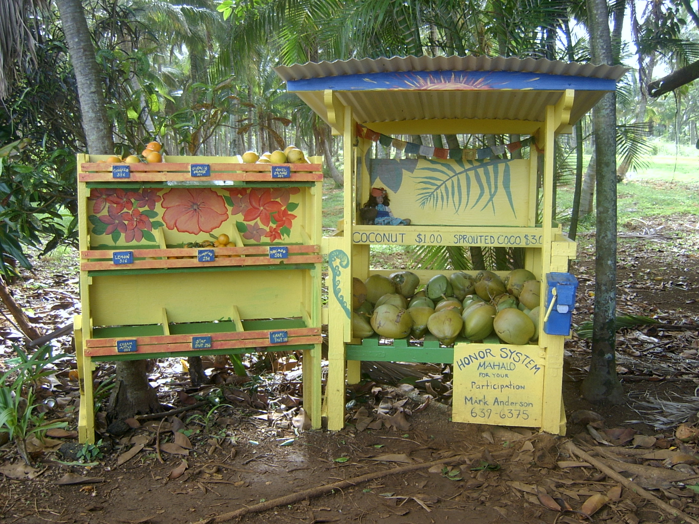 Kauai Roadside Stand