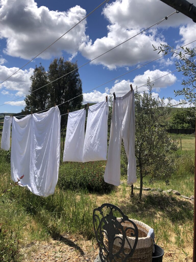 Beautiful white laundry on a clothesline in Sonoma