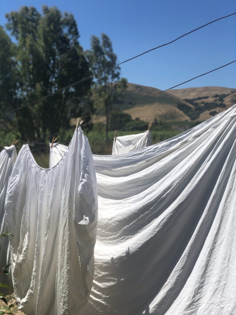 Beautiful white laundry on a clothesline in Sonoma