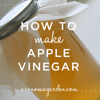 How to Make Apple Vinegar - a quick and easy tutorial you can do with leftover apple peels