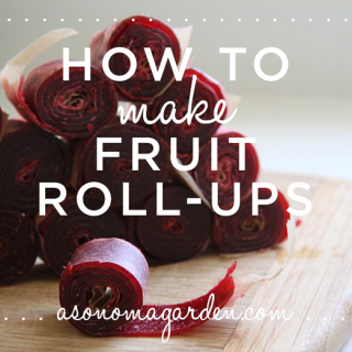 How to make homemade fruit roll ups, a pictoral guide