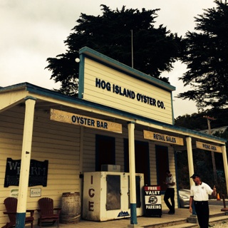 Hog Island Oyster Company