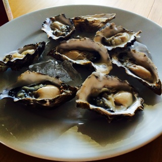 Hog Island Oysters