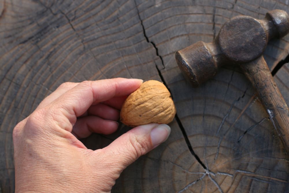 How to Crack a Walnut to Get Two Whole Halves