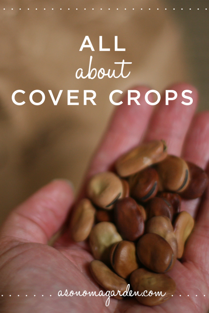 Great write up on what you need to know about cover crops