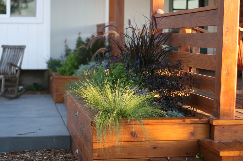 Deck Beds in Fall