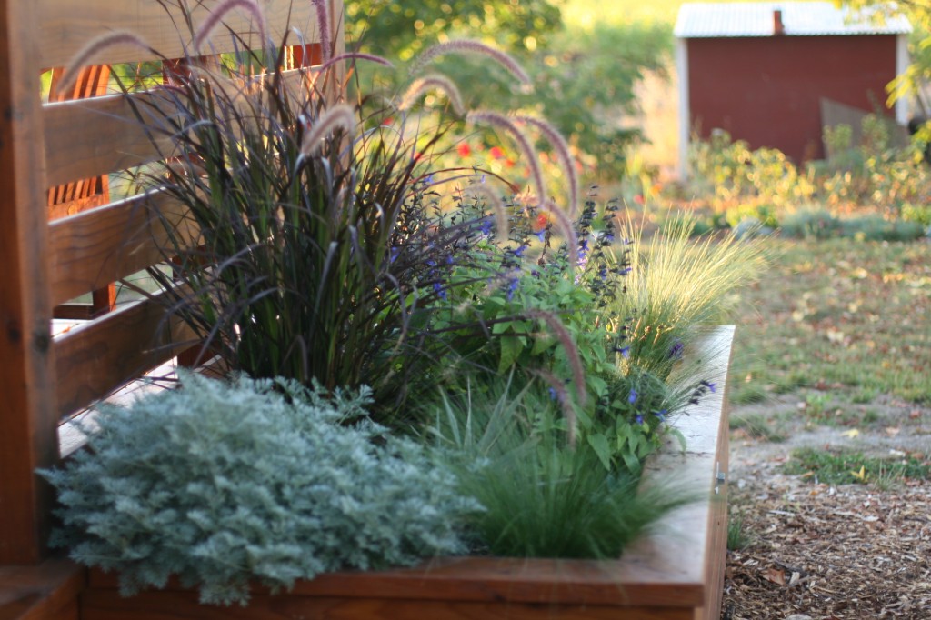 Deck Beds in Fall