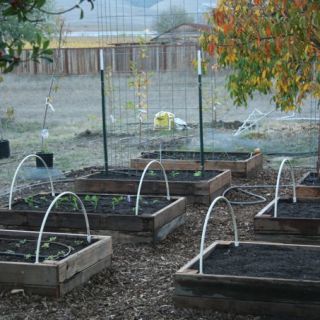 Finished Reclaimed Raised Beds