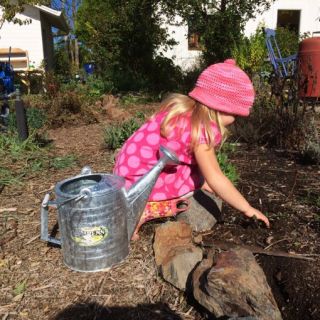 The wee one planting her orange seed from our breakfast out.