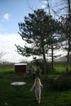 IMG_9316