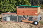 how to build a chicken tractor