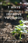 7 ways you can improve your soil for a healthier and more productive garden