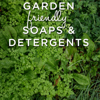 Tips and Helpful suggestions on household soaps and detergents that are good for the garden.