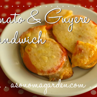 Summer Sandwich - Tomato & Guyere Open Faced Sandwich Recipe. So very delicious!